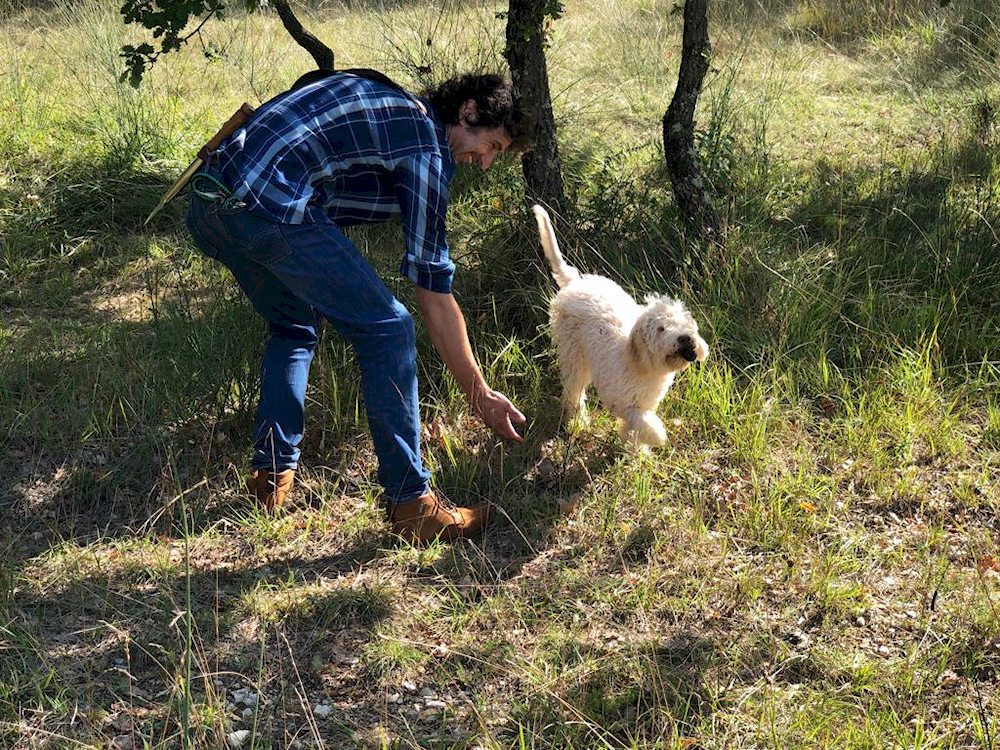 Eventi, prenotazione caccia al tartufo